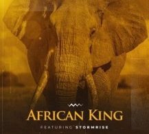 2Point1 – African Kings Ft. Stormrise