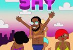 D'Banj SHY Mp3