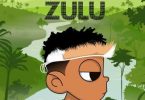 Nasty C & DJ Whoo Kid – Zulu Mixtape