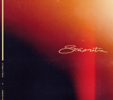 Shawn Mendes Ft Camila Cabello – Señorita Mp3