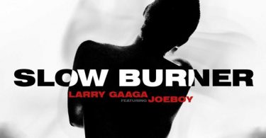 Larry Gaaga Slow Burner