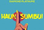 Diamond Platnumz Haunisumbui