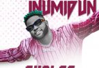 Skales Inumidun