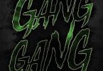 Polo G & Lil Wayne – Gang Gang