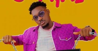 Dj Shawn – O Pari Ft. Falz, Timaya