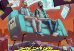 Download Show Dem Camp Vipers ft Jesse Jags & Tomi Thomas MP3 Download