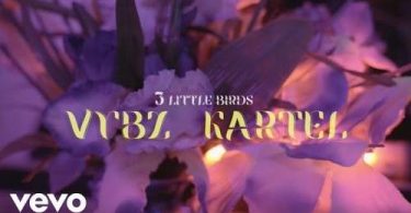 Download Vybz Kartel 3 Little Birds MP3 Download