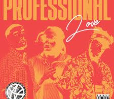 Download WSTRN Professional Love MP3 Download