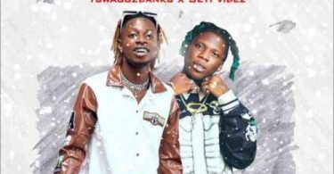 Download Tswaggz Banks Ft Seyi Vibez Survival MP3 Download