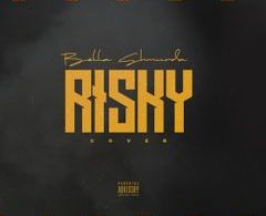 Download Bella Shmurda Risky Cover Ft Davido MP3 Download