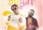 Download Jaywon Sugar ft Jaywillz MP3 Download