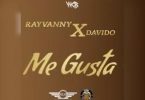 Download Rayvanny Me Gusta ft Davido Mp3 Download