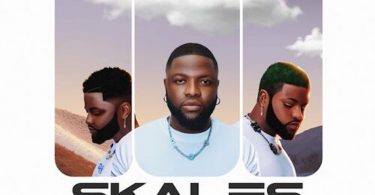 Music] Skales Ft. Zlatan &amp; Krizbeatz - Selese » Naijaloaded