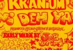 Download Kranium Wi Deh Yah MP3 Download