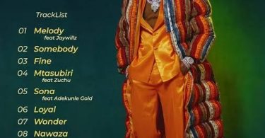 Download Diamond Platnumz Nawaza MP3 Download