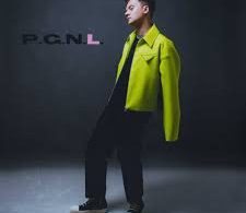 Download Conor Maynard PGNL MP3 Download