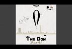 Don Steazy & PIANOJOLLOF - The Don (Barcadi Mix)