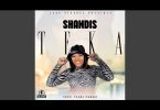 Shandis - Teka (Radio Edit)