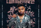 Tee Jay – Lwangempela Ft. Basetsana, Makwa, Lucille Slade, Moscow & Le Sax