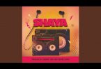 Vintilage SA & TayDeep_RSA - Shaya Feat. Goitse Levati