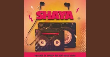 Vintilage SA & TayDeep_RSA - Shaya Feat. Goitse Levati