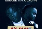 Download Saucee Big Plans ft OlaDips Mp3 Download