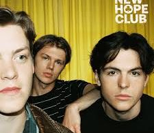 Download New Hope Club Girl Who Does Both MP3 Download