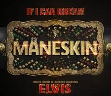 Download Maneskin If I Can Dream MP3 Download