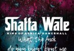 Download Shatta Wale what the fuck MP3 Download