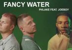 Download Phlake Fancy Water ft Joeboy MP3 Download