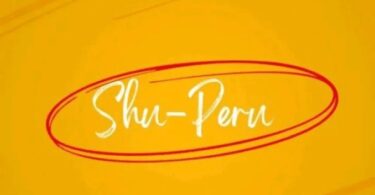 Download Kizz Daniel Shu-Peru MP3 Download