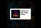 Tribesoul – Pholas Mp3