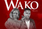 Chimah Ft. Centano – Wako Remix