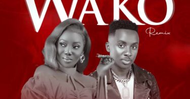 Chimah Ft. Centano – Wako Remix