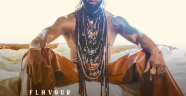 Flavour – Levels Pro Max