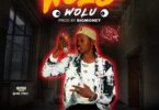 Dracolee – Wolu Wolu