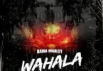 Naira Marley – Wahala