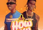 Kashcoming – How Low (Remix) Ft. Seyi Vibez