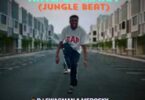 DJ Swagman – King Of Mara (Jungle Beat) Ft. Medosky