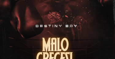 Destiny Boy Malo Gbegesi