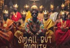 Shatta Wale – Small But Mighty